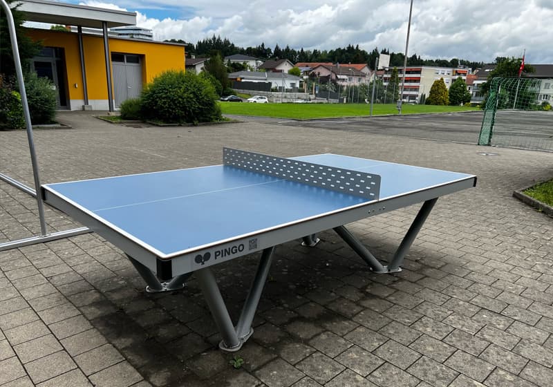 Table de ping pong École Riffig, 6020 Emmenbrücke