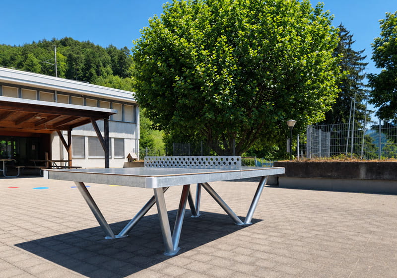 Table de ping-pong extérieure Pingo de la commune de Diepflingen